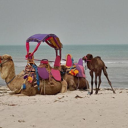 Dar El Kahina Djerba Hotell Mezraia Eksteriør bilde