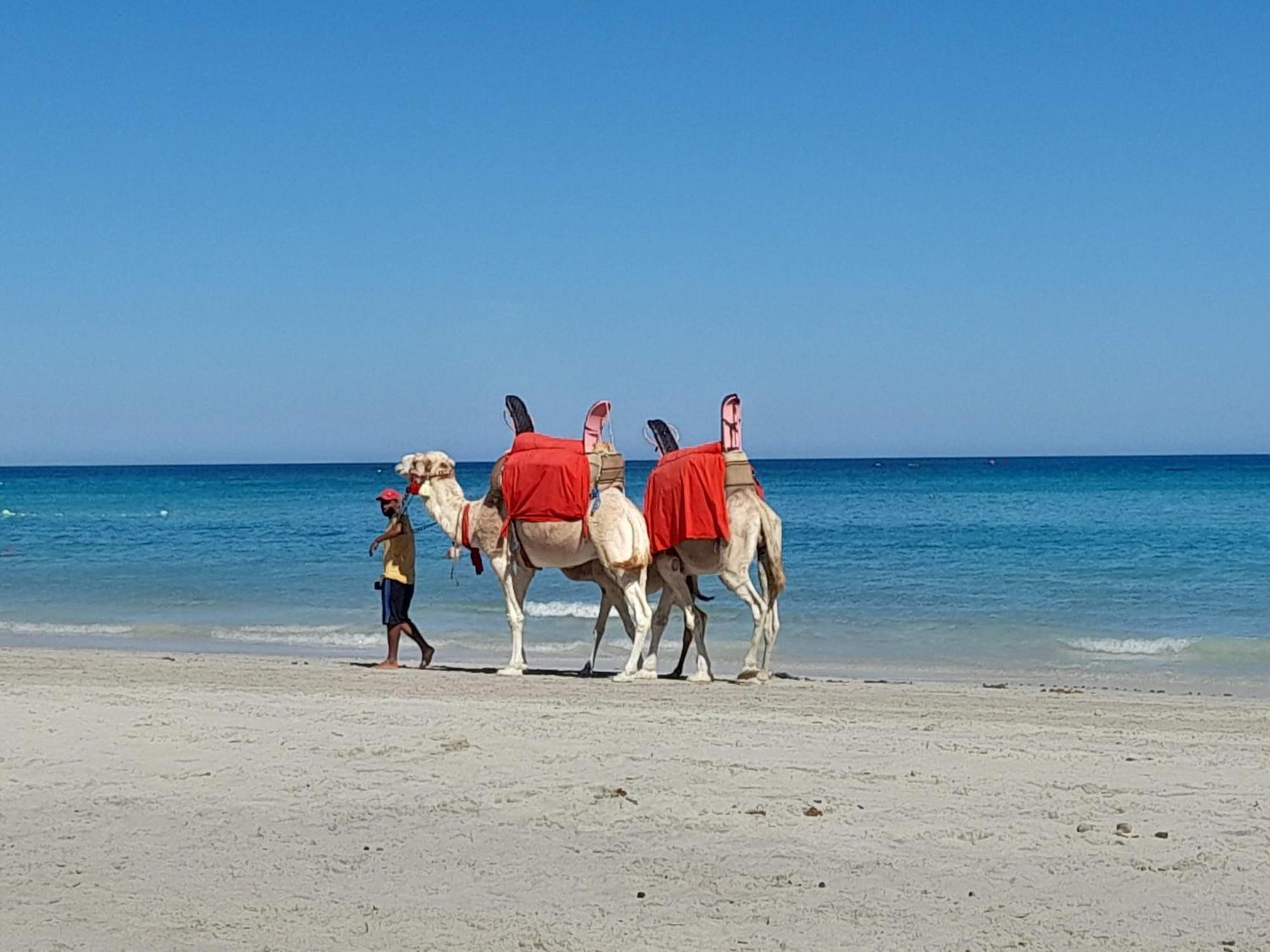 Dar El Kahina Djerba Hotell Mezraia Eksteriør bilde